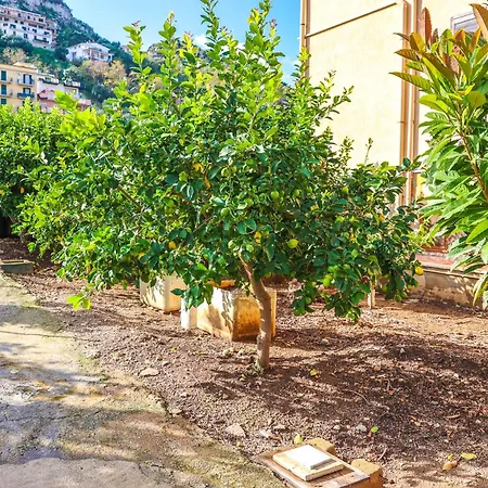 Bed & Breakfast Giardino Dei Cedri *