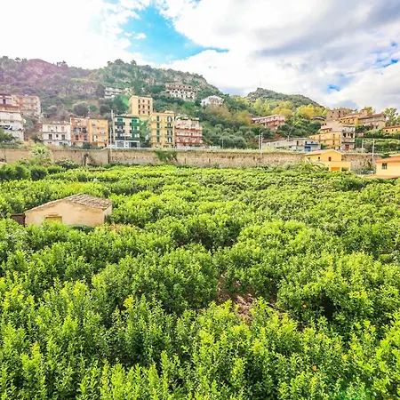 Giardino Dei Cedri Bed & Breakfast *