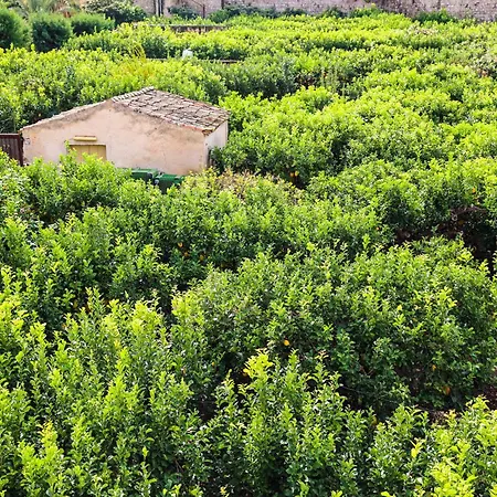 Bed & Breakfast Giardino Dei Cedri
