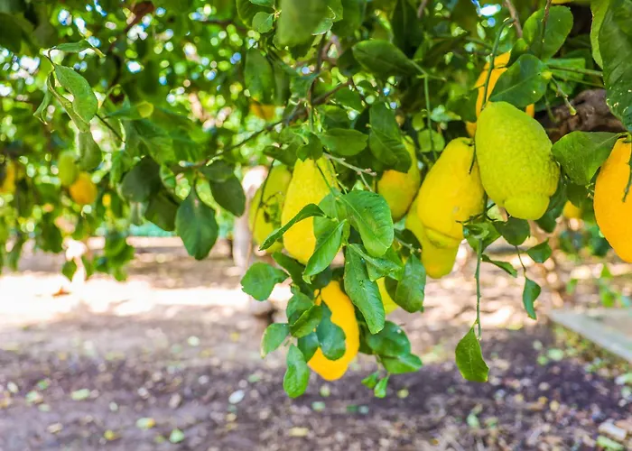 Alojamento de Acomodação e Pequeno-almoço Giardino Dei Cedri 4*